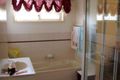 Property photo of 11 Deloraine Avenue Urangan QLD 4655