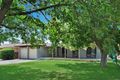 Property photo of 24 Park Street Eglinton NSW 2795