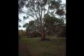 Property photo of 31 McMahons Road Glenlyon VIC 3461