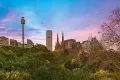 Property photo of 410/1 Boomerang Place Woolloomooloo NSW 2011