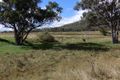 Property photo of 470 Ghost Gate Road Berat QLD 4362