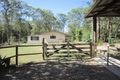 Property photo of 55 Firewheel Road Ringtail Creek QLD 4565