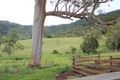 Property photo of 109 Rowe Road Ferny Glen QLD 4275