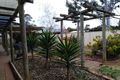 Property photo of 3 Balding Court Mooroopna VIC 3629