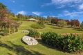 Property photo of 1295 Bingleburra Road Lewinsbrook NSW 2311