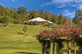 Property photo of 1295 Bingleburra Road Lewinsbrook NSW 2311