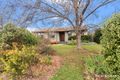Property photo of 21 Jenkins Street Curtin ACT 2605
