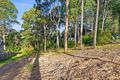 Property photo of 13 Warragai Place Malua Bay NSW 2536