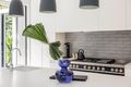 Property photo of 455 Glenmore Road Edgecliff NSW 2027