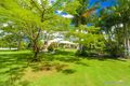 Property photo of 41 Livistona Drive Doonan QLD 4562