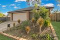 Property photo of 3 Cedrela Street Moggill QLD 4070