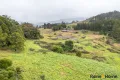 Property photo of 4833 Brackendale Road Nowendoc NSW 2354
