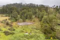 Property photo of 4833 Brackendale Road Nowendoc NSW 2354