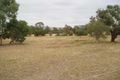 Property photo of 7 Mountview Close Pyalong VIC 3521