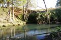 Property photo of 60 Brindle Creek Road Loadstone NSW 2474