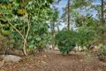 Property photo of 86 Burbong Street Chapel Hill QLD 4069