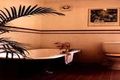 Property photo of 9 North Street Balmain NSW 2041