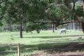 Property photo of 34 Cantwell Street Anstead QLD 4070