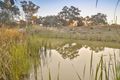 Property photo of 20 Alderton Drive Gol Gol NSW 2738