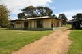 Property photo of 5875 Riddoch Highway Padthaway SA 5271