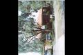 Property photo of 19 Galilee Crescent Mill Park VIC 3082