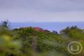 Property photo of 9 Hillside Grove Frankston South VIC 3199