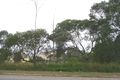 Property photo of 4 Eurora Street Kingston QLD 4114
