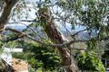 Property photo of 33 Bass Street McCrae VIC 3938