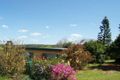 Property photo of 24 Charlotte Street Bangalow NSW 2479