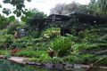 Property photo of 495 Humpty Back Road Pearces Creek NSW 2477