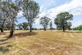 Property photo of 1 Kiewa Street Manildra NSW 2865