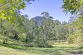 Property photo of 553 Eumundi-Kenilworth Road Eerwah Vale QLD 4562