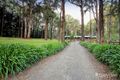 Property photo of 9A Doonaha Road Cockatoo VIC 3781