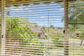 Property photo of 30 Thompson Place Camden South NSW 2570