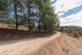 Property photo of 1799 Icely Road Lewis Ponds NSW 2800