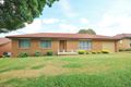 Property photo of 8 Hardy Avenue Young NSW 2594
