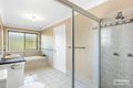 Property photo of 12 Floribunda Street Sunnybank Hills QLD 4109