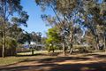 Property photo of 17 Codrington Street Newstead VIC 3462