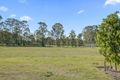 Property photo of 26 Treesbank Place Nulkaba NSW 2325