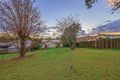 Property photo of 34 Sirius Street Coorparoo QLD 4151
