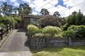 Property photo of 57 Cressy Street Montmorency VIC 3094