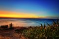 Property photo of 120 Esplanade Aldinga Beach SA 5173