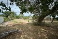 Property photo of 423 Rockonia Road Koongal QLD 4701