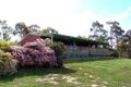 Property photo of 35 Munts Road Upper Plenty VIC 3756