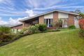 Property photo of 56 Cook Avenue Surf Beach NSW 2536