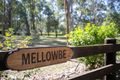 Property photo of 448 Butterwick Road Butterwick NSW 2321