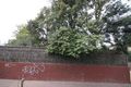Property photo of 2/4 Nellie Avenue Mitchell Park SA 5043