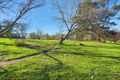 Property photo of 263 Harolds Cross Road Captains Flat NSW 2623