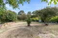 Property photo of 43 Main Road Pioneer TAS 7264