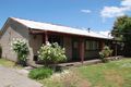 Property photo of 40 Clarendon Street Cranbourne VIC 3977